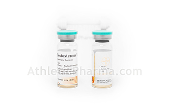 Testosterone Depot (propionate) Bayer (10ml)